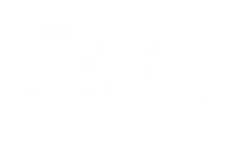 Play original titles developed by Stake for a unique experience.