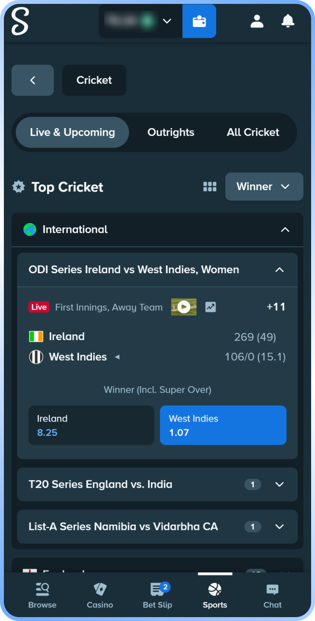 Browse the sportsbook section to select a Stake cricket betting option.